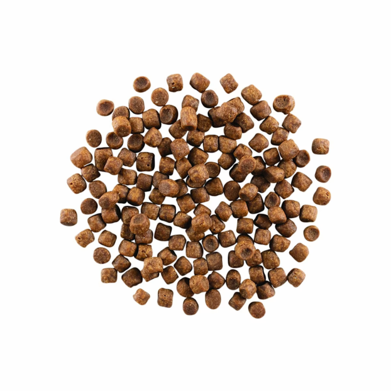 Furville CAT Kibble Go Solutions