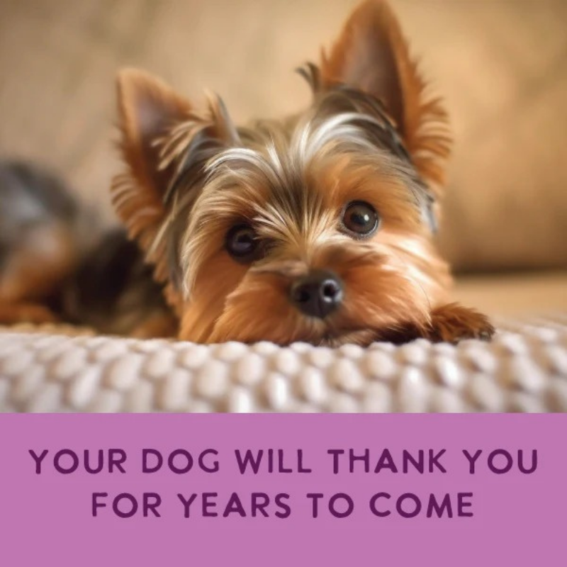 Furville Gently Cooked Prepared Meals for Dogs