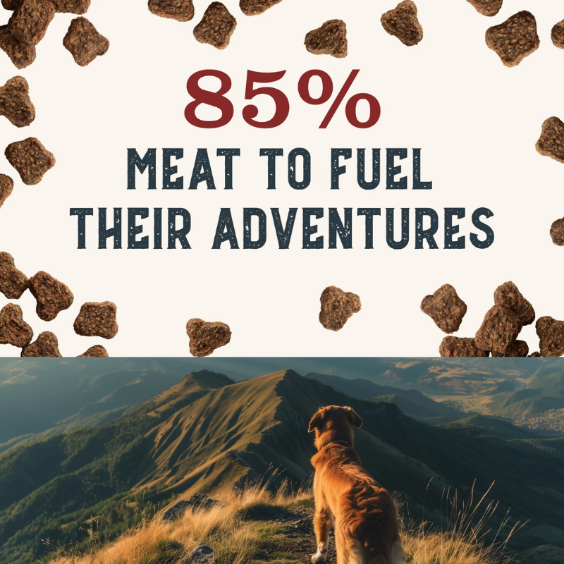 Furville Bison treat