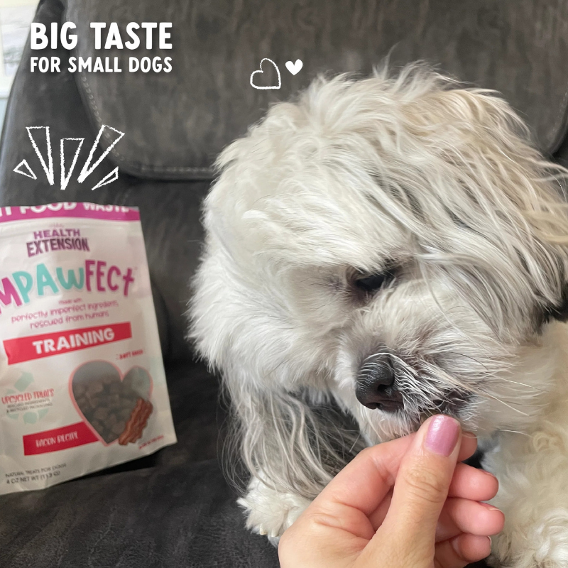 Furville Training Treats