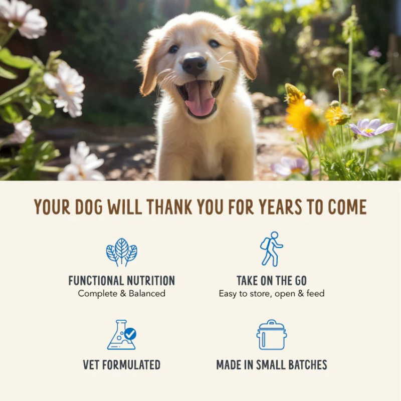 Furville Dog Meals in Cups
