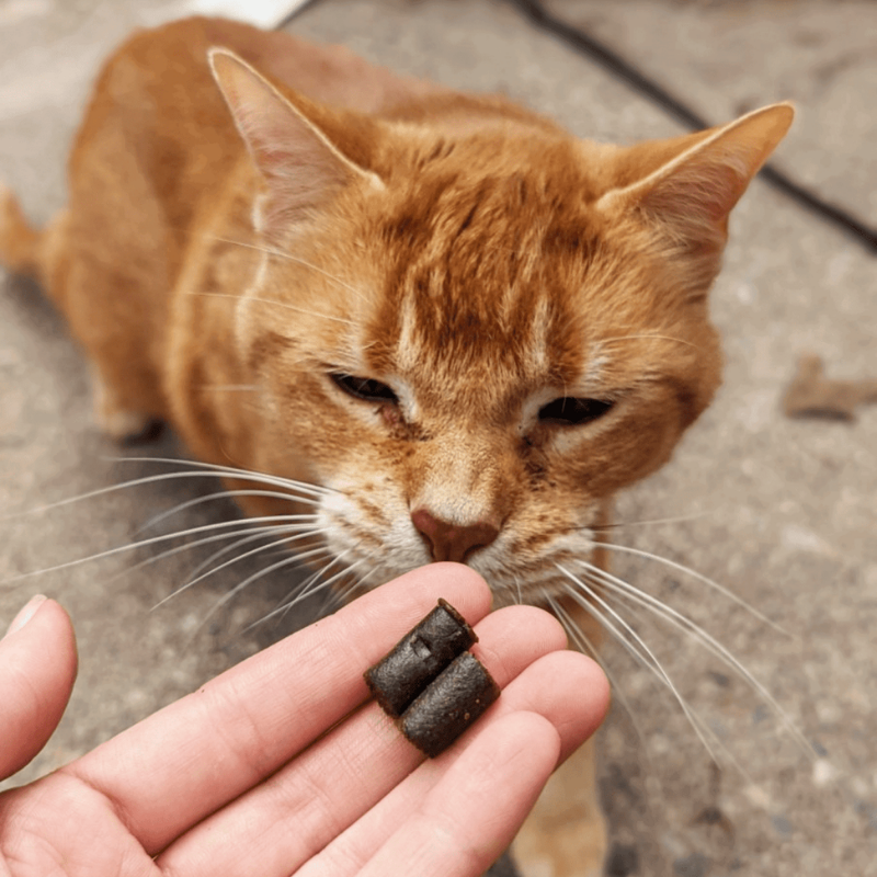 Furville Cat Calming CBD treats
