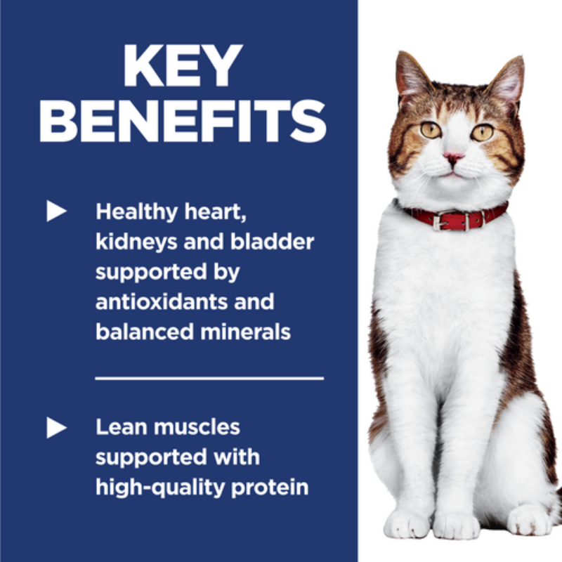 Furville Hills Science Diet Adult