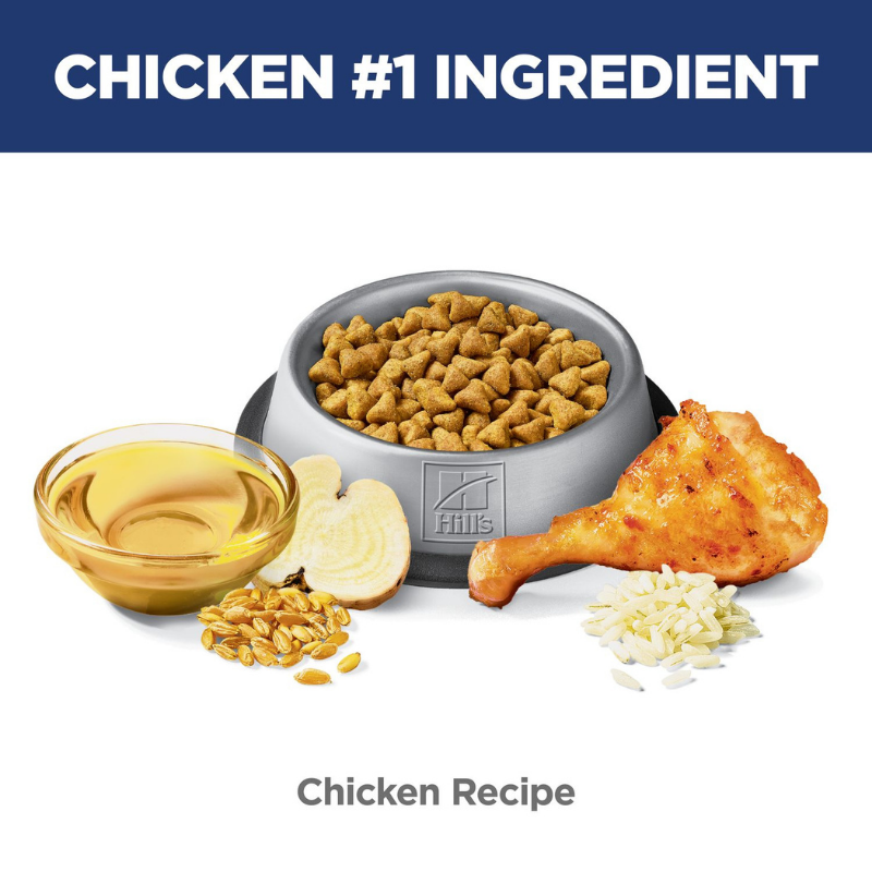 Hills Science Diet Hairball Control