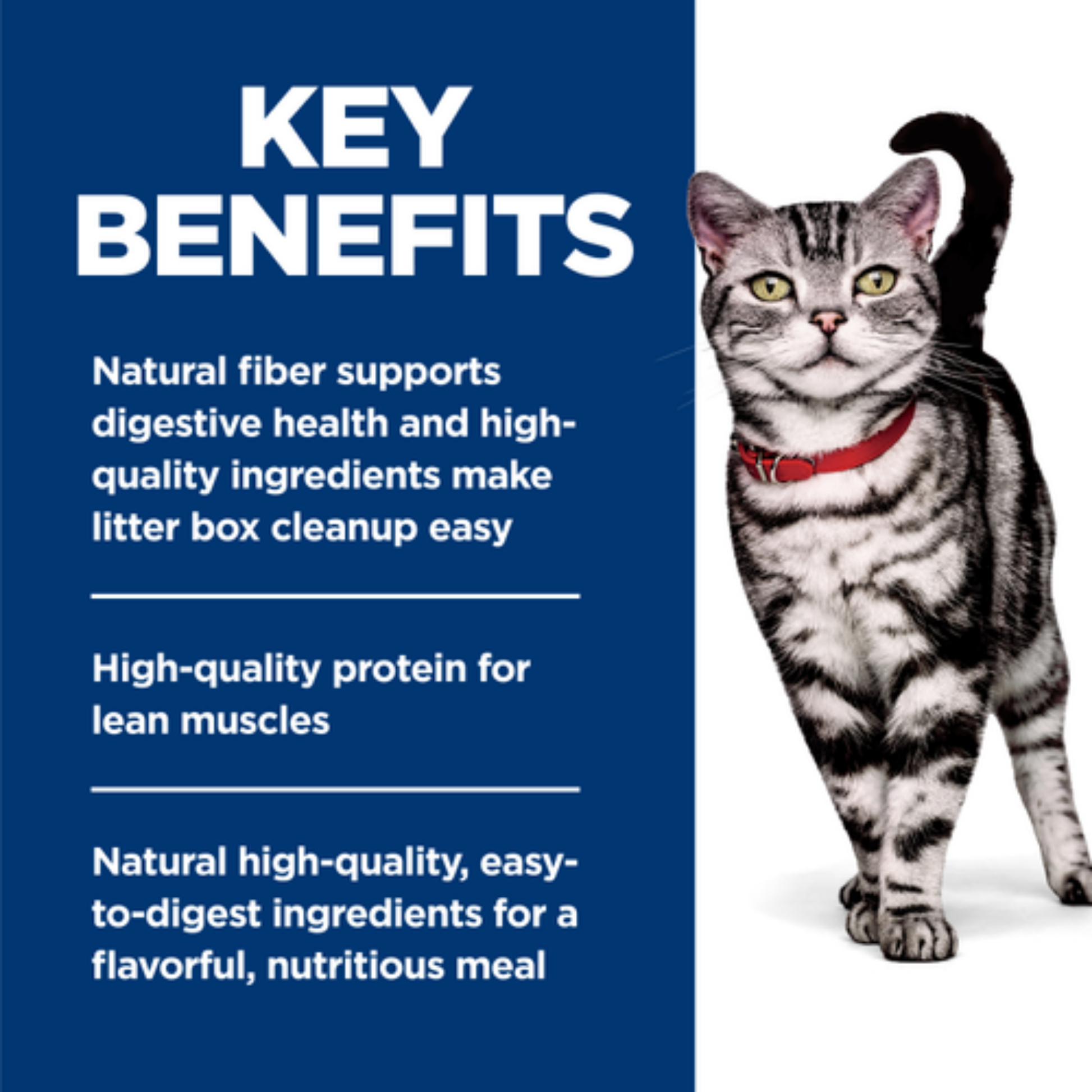 Furville Hills Wet Canned Food