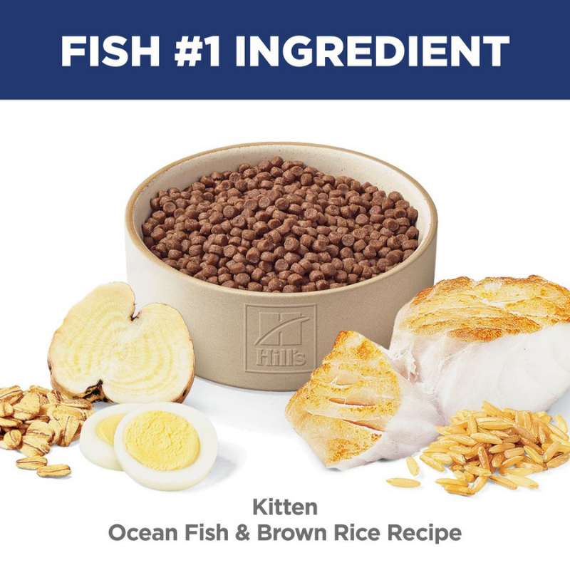 Furville Hills Science Diet Kitten