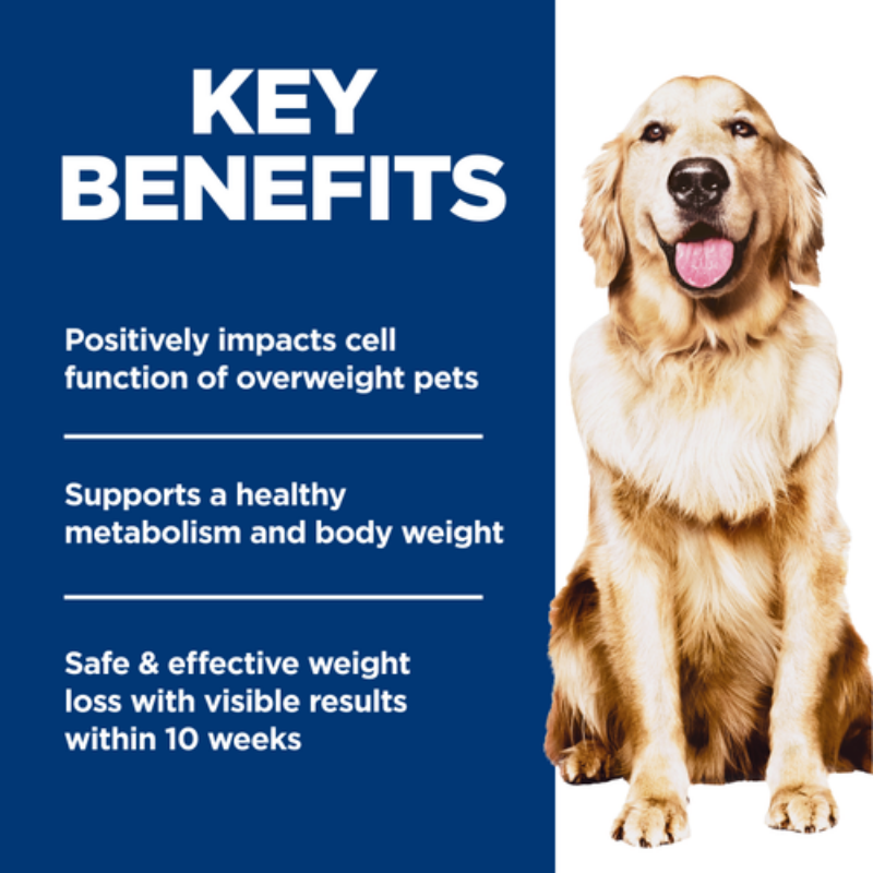 Furville Hills Science Diet Perfect Weight