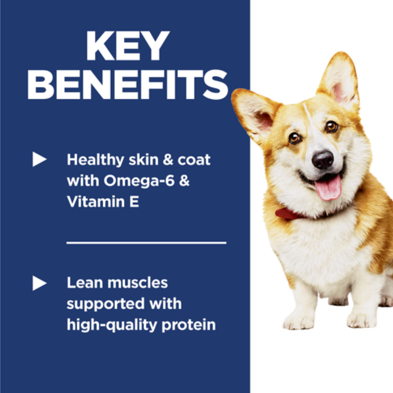 Furville Dog Dry Food Science Diet