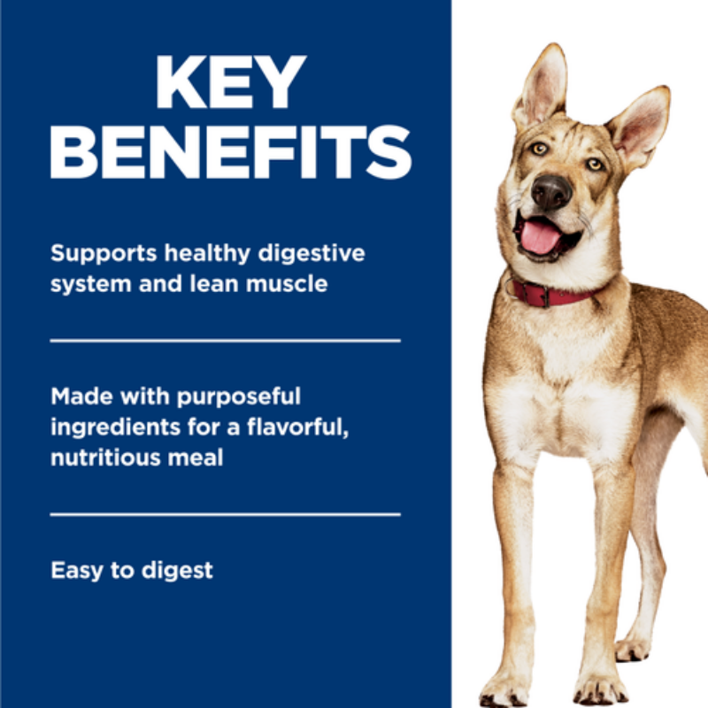 Furville Dog Can Beef and Carrot Recipe