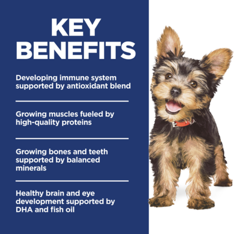 Furville Puppy Small and Mini