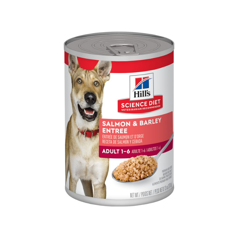 Hills Science Diet Dog Can Salmon Recipe