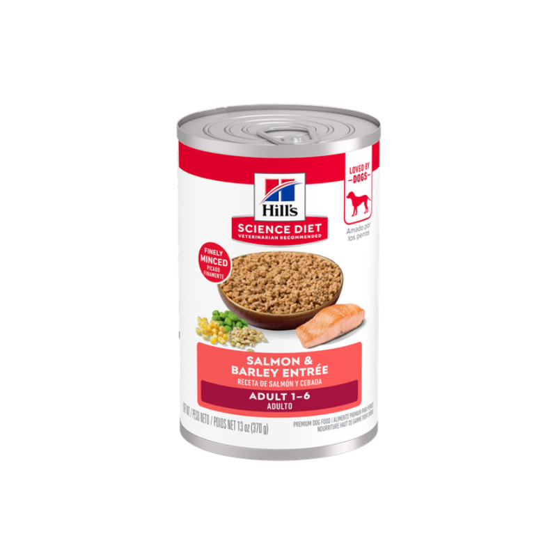 Hills Science Diet Dog Can Salmon Recipe