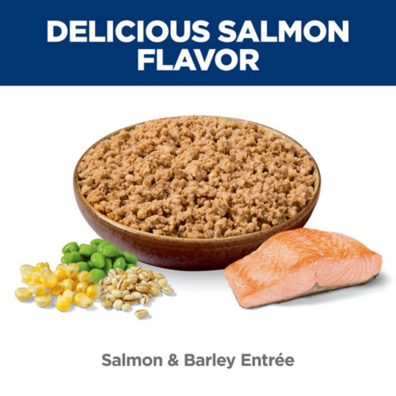 Hills Science Diet Dog Can Salmon Recipe