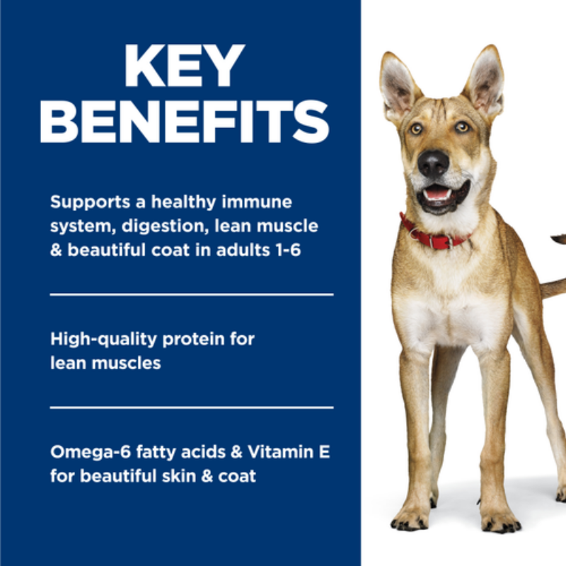 Hills Science Diet Dog Can Salmon Recipe