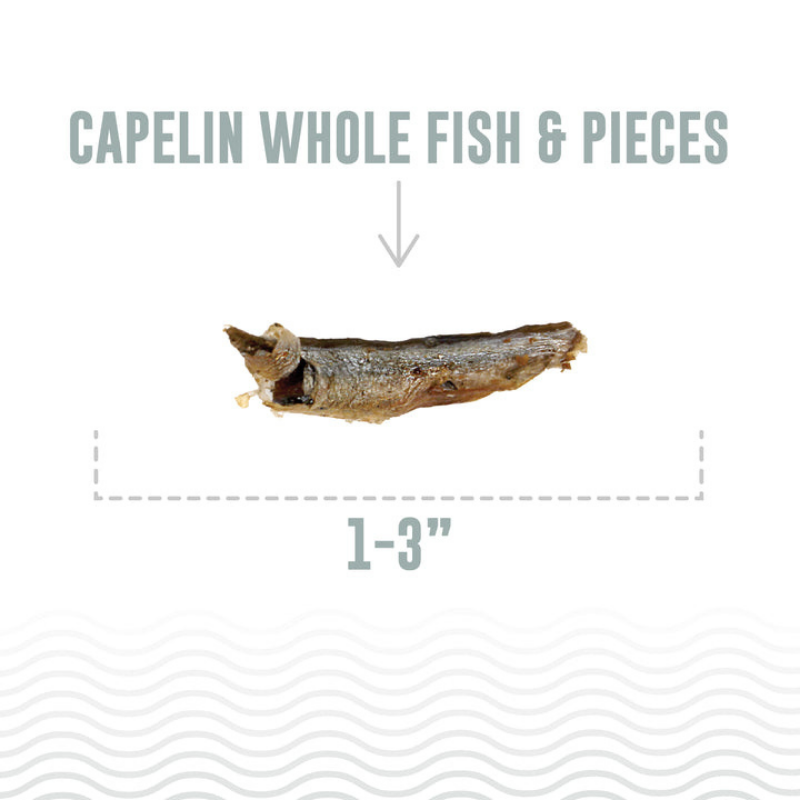 Furville Icelandic Whole Fish