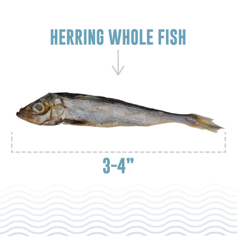 Furville Icelandic Whole Fish