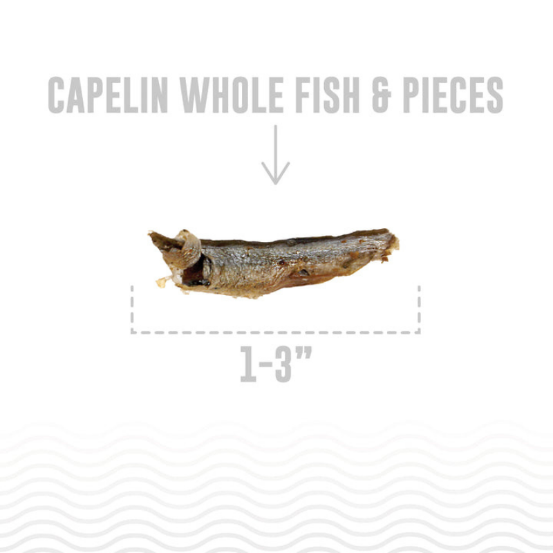 Furville Icelandic Whole Fish