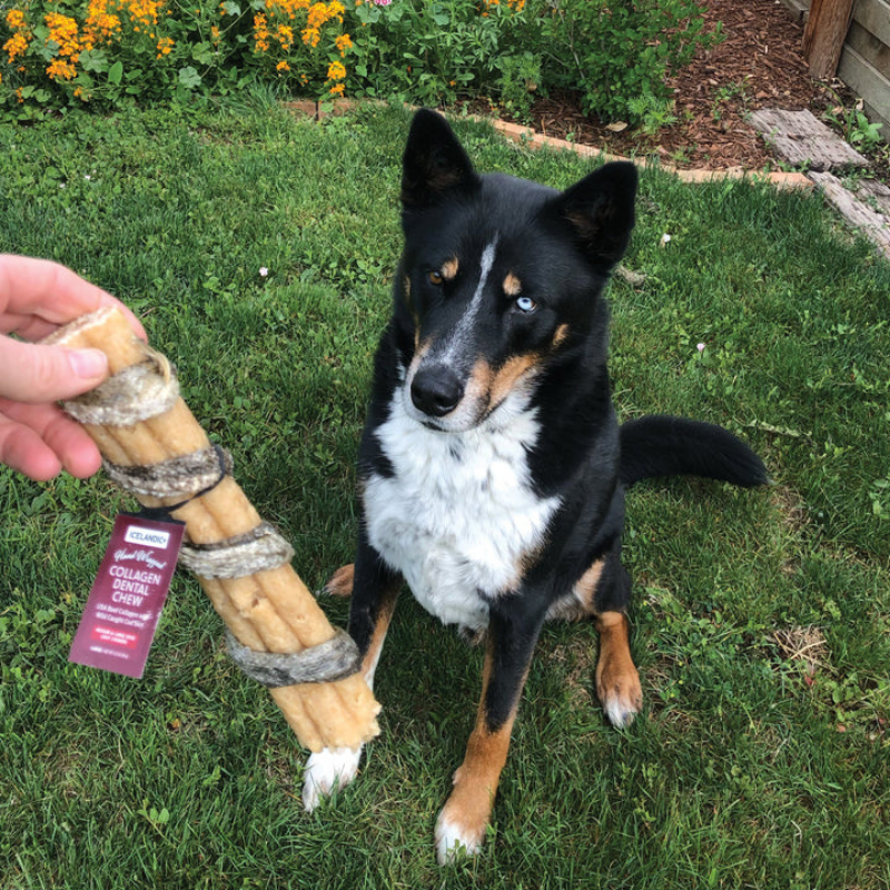 Furville Collagen Dental Chew