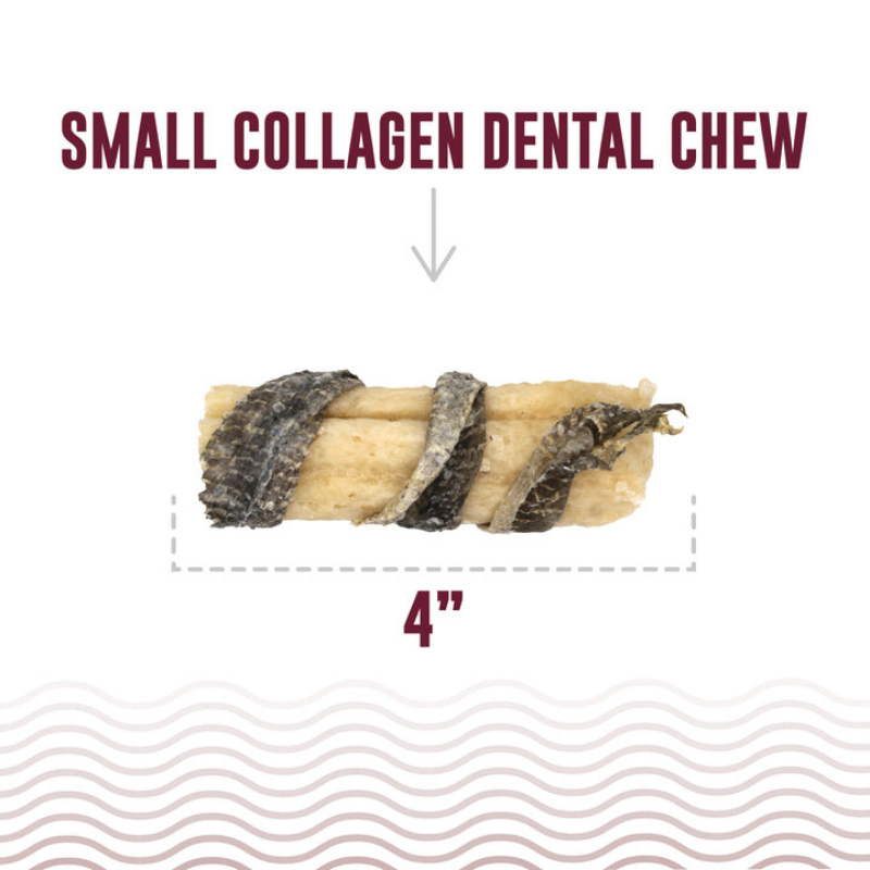 Furville Collagen Dental Chew