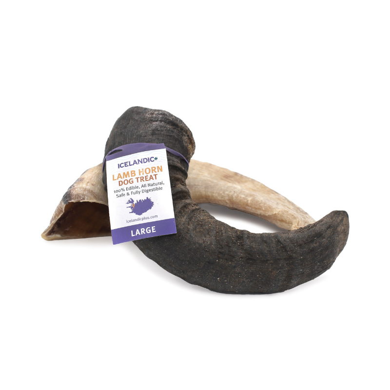 Furville Lamb Horn Chew