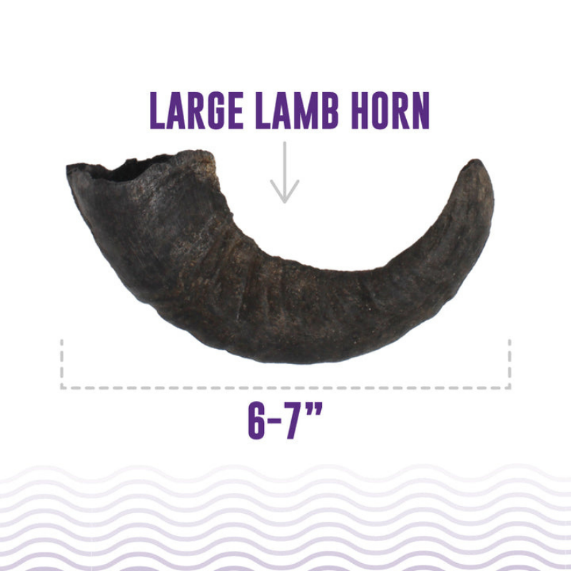 Furville Lamb Horn Chew