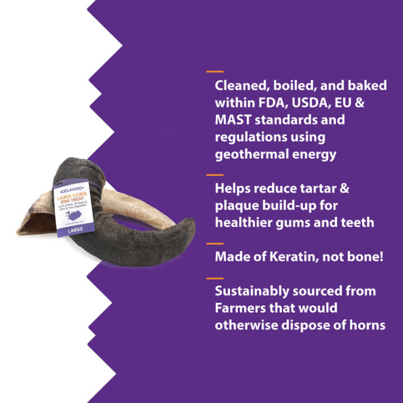 Furville Lamb Horn Chew