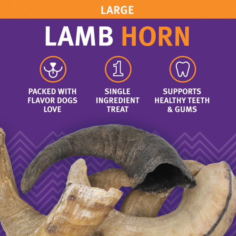 Furville Lamb Horn Chew