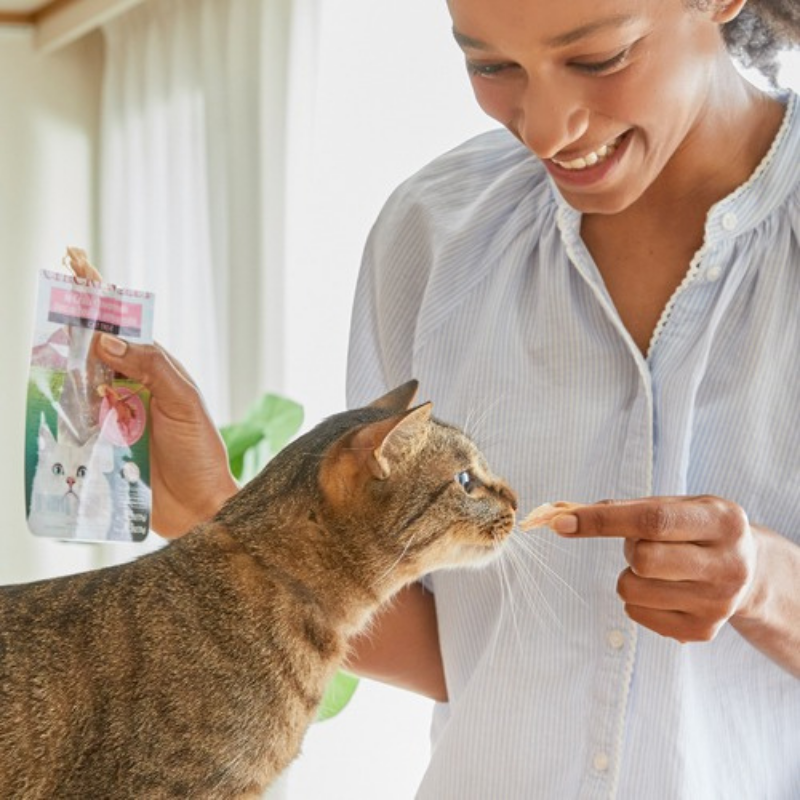 Furville Fillet Cat Treat