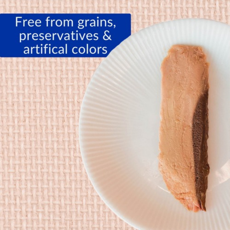 Furville Fillet Cat Treat