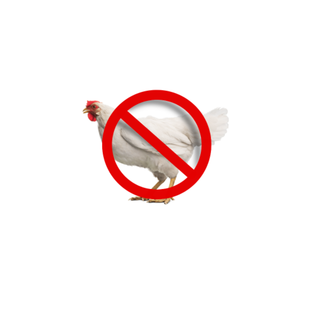Furville Pet Supplies