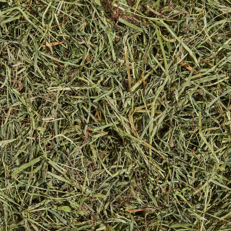Furville Orchard Grass Hay