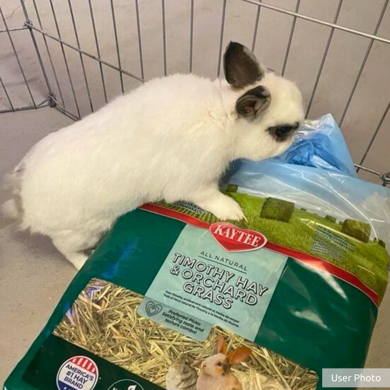 Furville Hay Orchard Grass and Timothy Hay