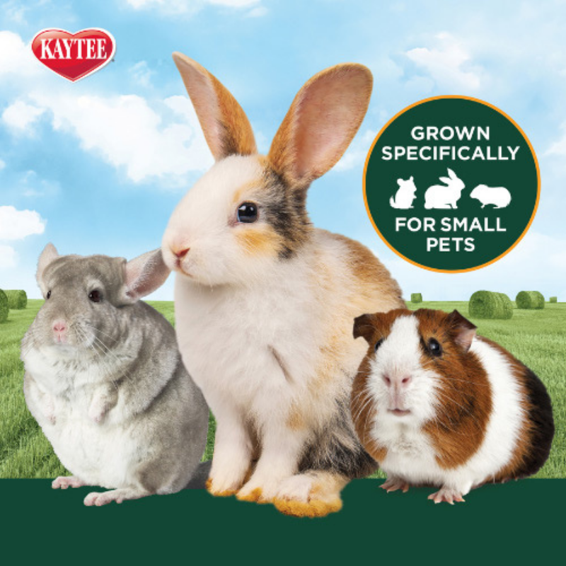 Furville Hay Orchard Grass and Timothy Hay