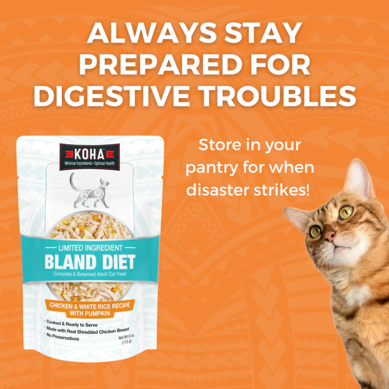 Furville Bland Diet Cat