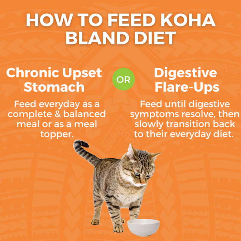 Furville Bland Diet Cat