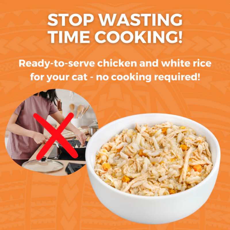Furville Bland Diet Cat