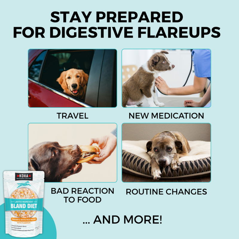 Furville Koha Bland Diet