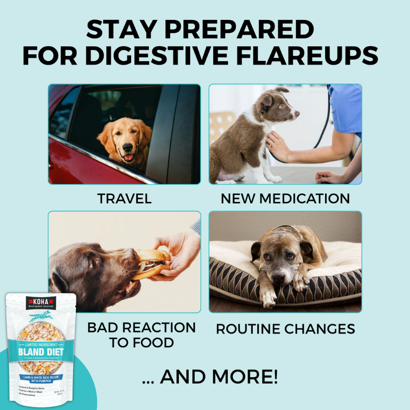 Furville Koha Bland Diet