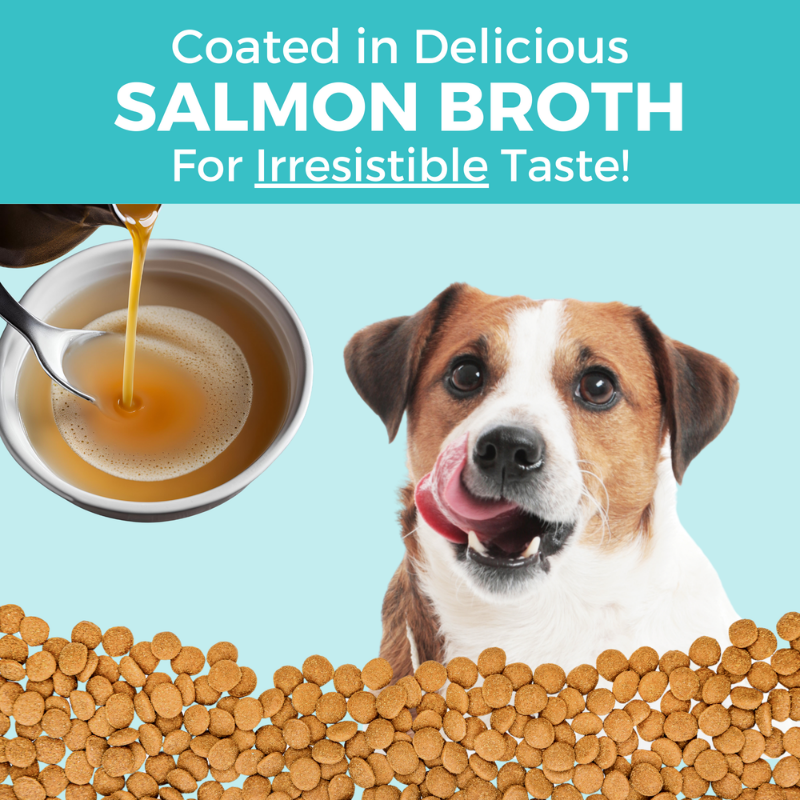 Furville Bland Diet Koha