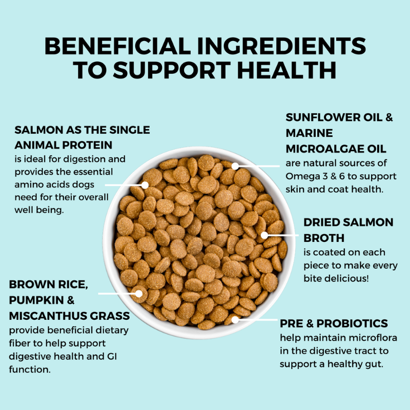 Furville Bland Diet Koha