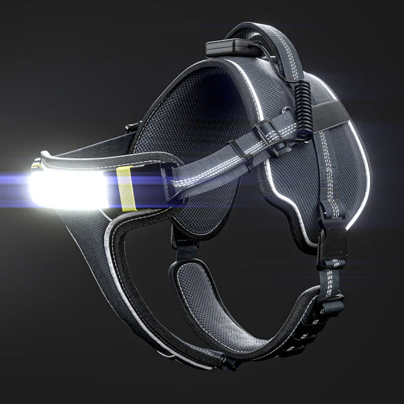 Furville Illuminated Collar