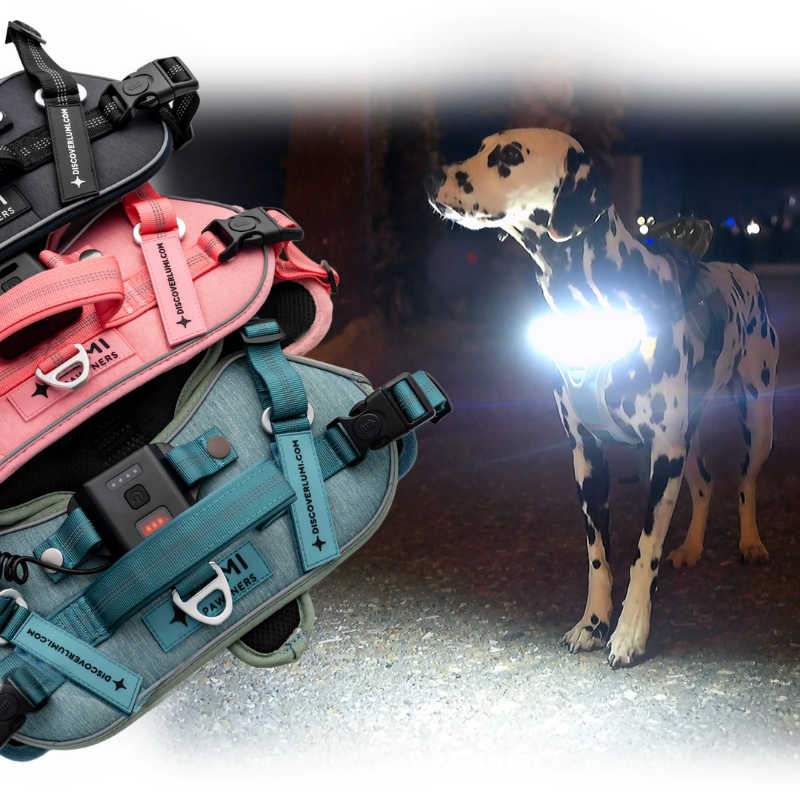 Furville Illuminated Collar
