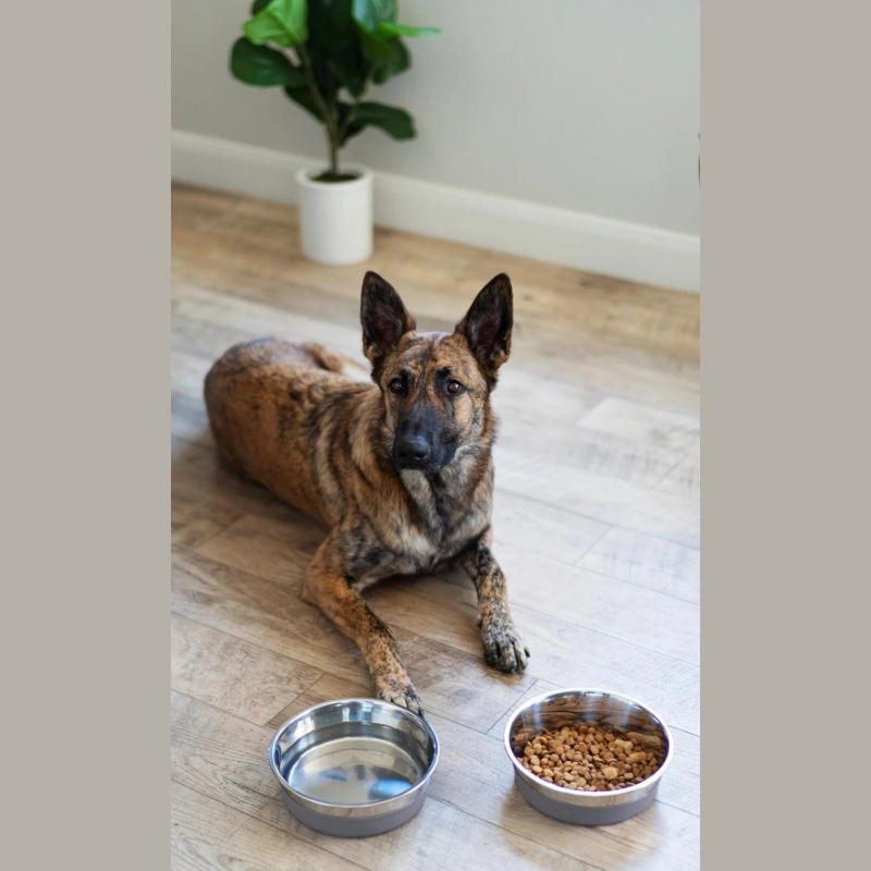 Furville Dog Bowls