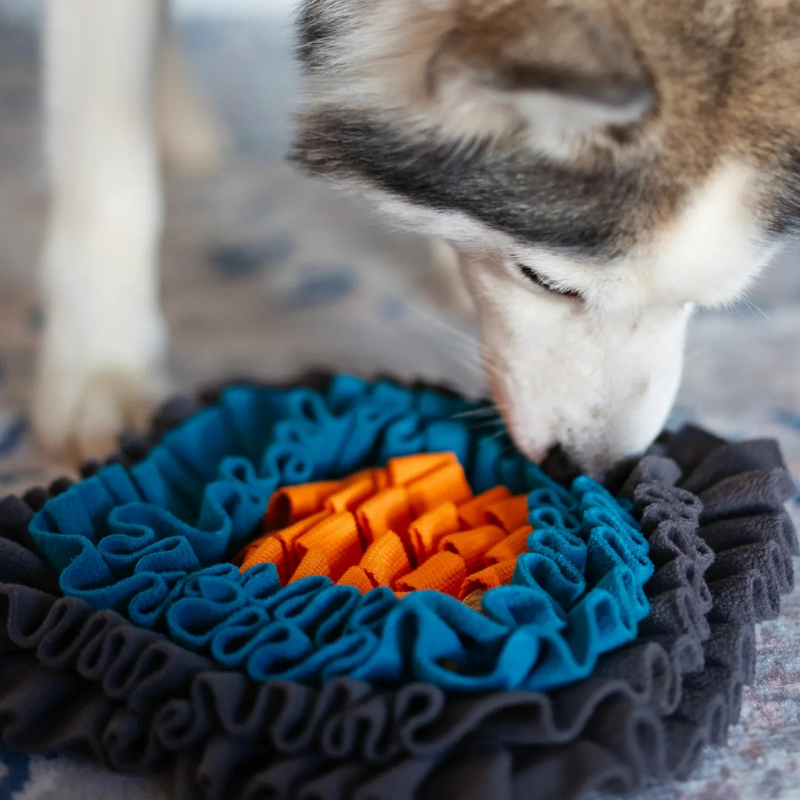 Furville Snuffle Mats Treat Hider Toys