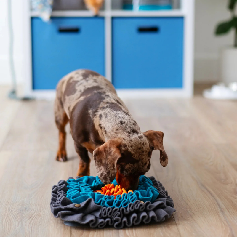 Furville Snuffle Mats Treat Hider Toys