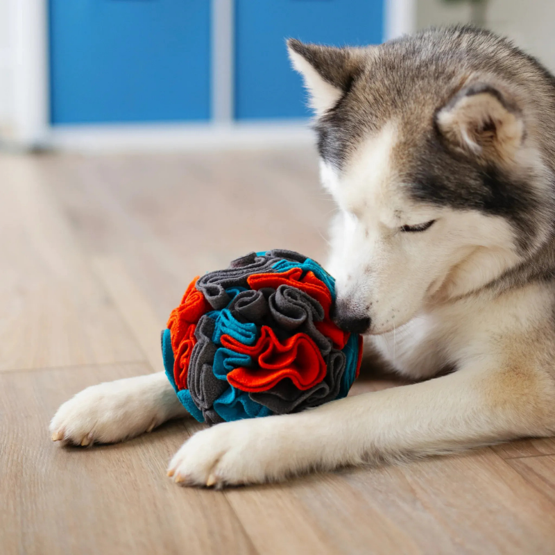 Furville Snuffle Toys