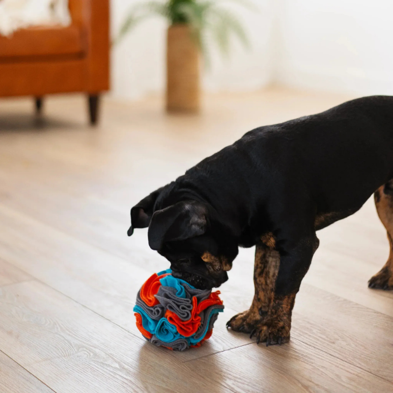 Furville Snuffle Toys