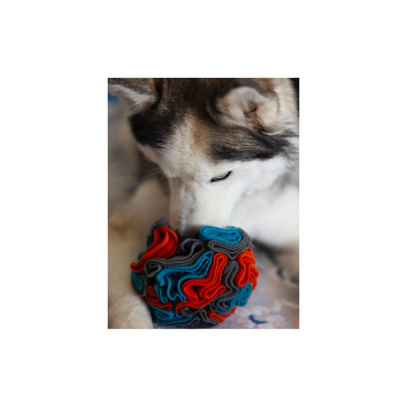 Furville Snuffle Toys