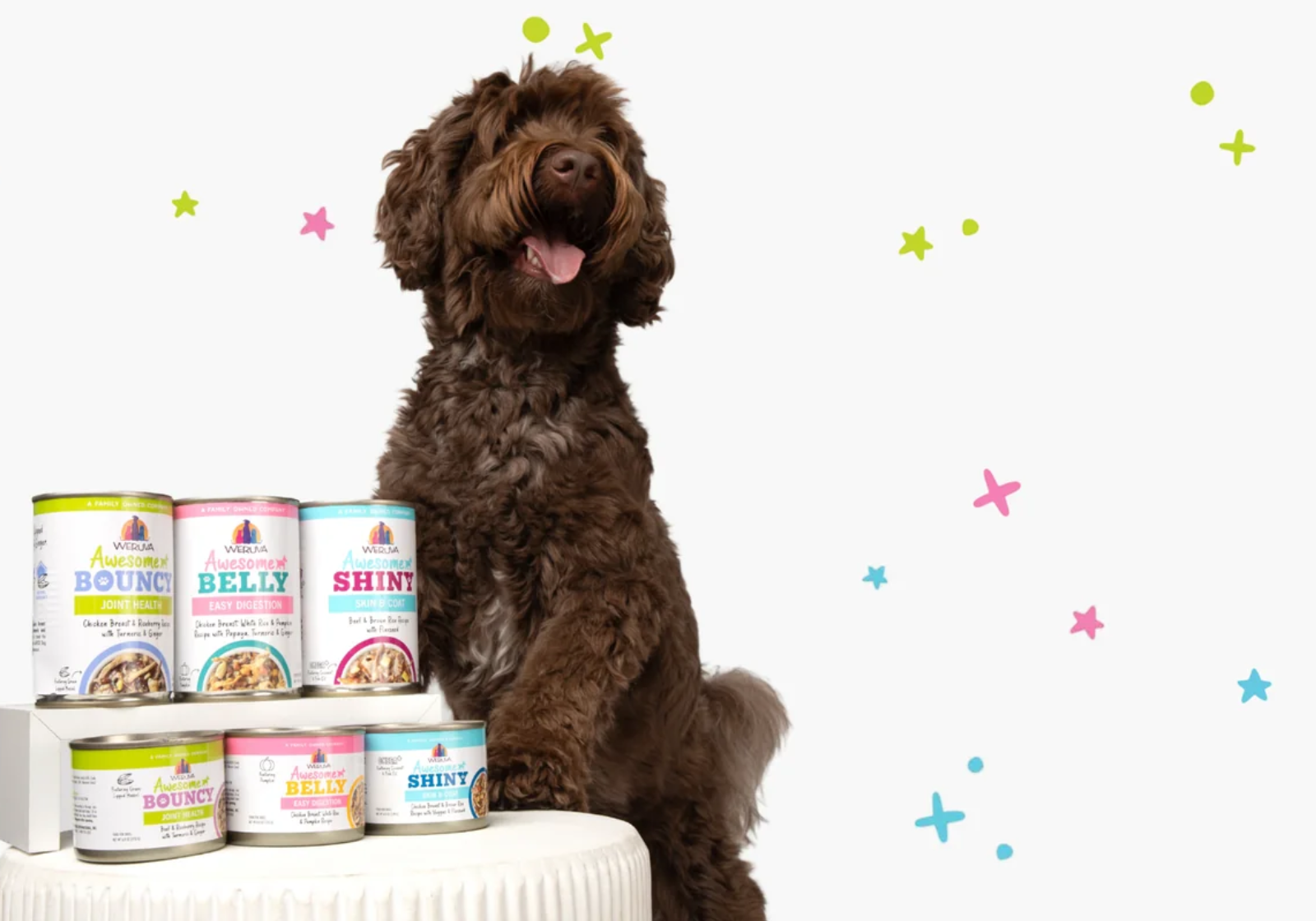 Furville Pet Supplies