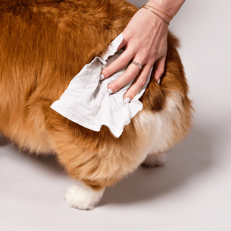 Furville Pet Wipes